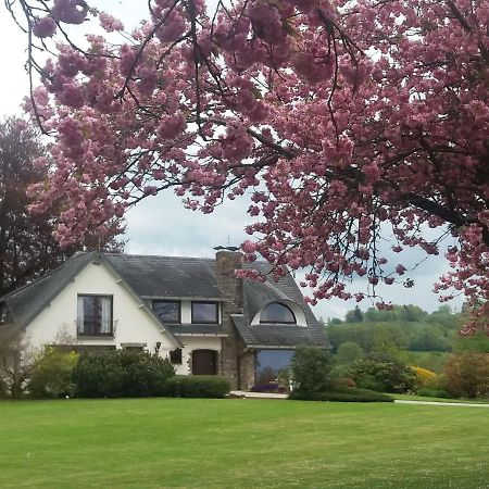 Elegant Villa In Stavelot With Fitness Playroom Kültér fotó