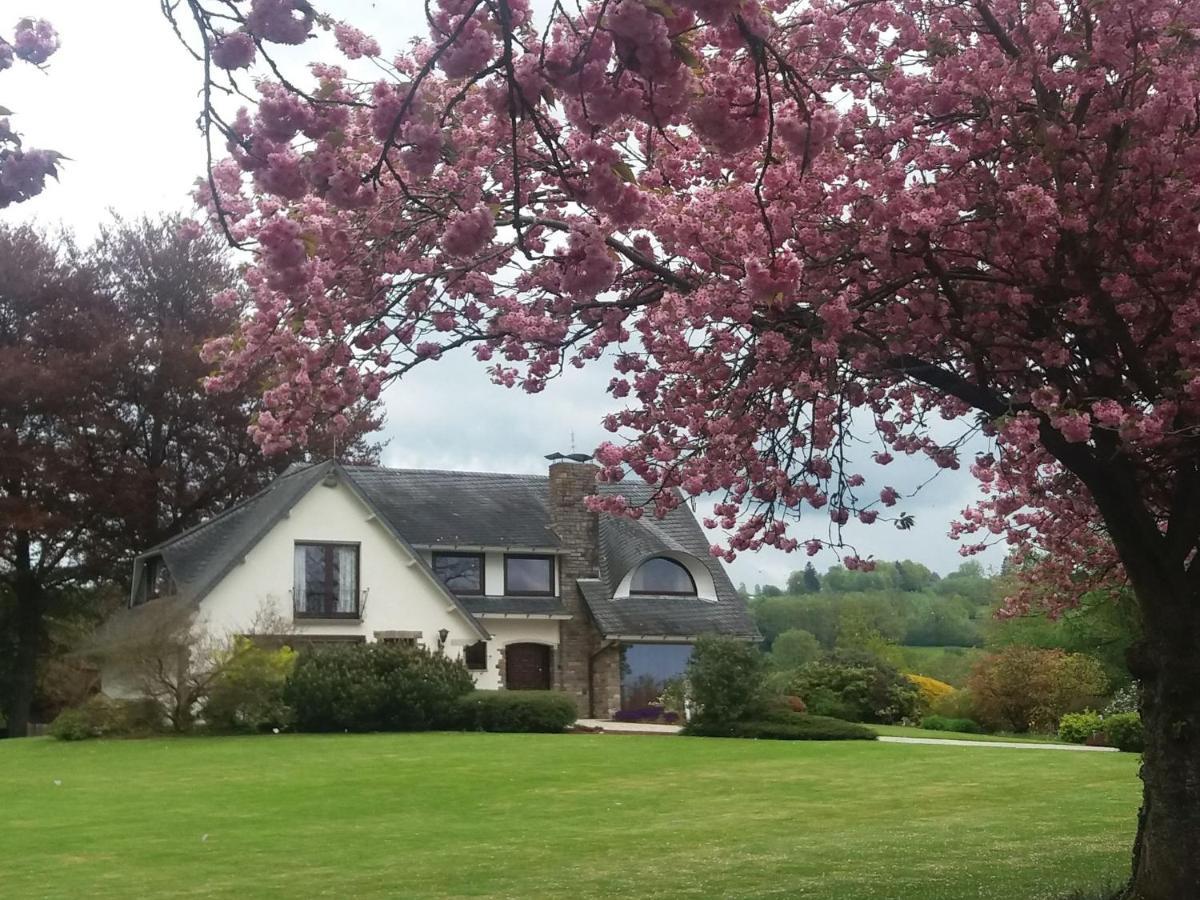 Elegant Villa In Stavelot With Fitness Playroom Kültér fotó